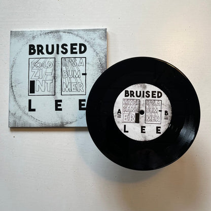 Bruised Lee - Bruised Lee (7" single) - Majestic Mountain Records